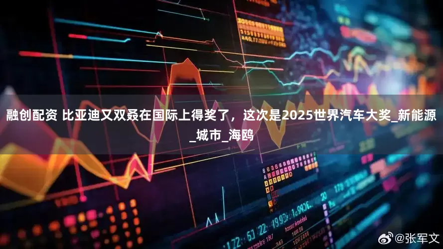 融创配资 比亚迪又双叒在国际上得奖了，这次是2025世界汽车大奖_新能源_城市_海鸥