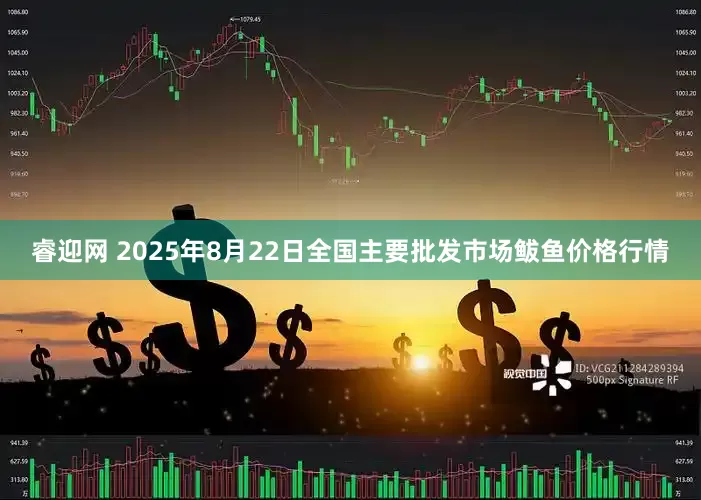 睿迎网 2025年8月22日全国主要批发市场鲅鱼价格行情