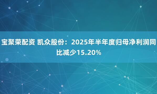 宝聚荣配资 凯众股份：2025年半年度归母净利润同比减少15.20%