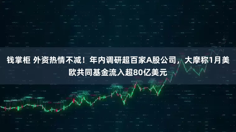 钱掌柜 外资热情不减！年内调研超百家A股公司，大摩称1月美欧共同基金流入超80亿美元